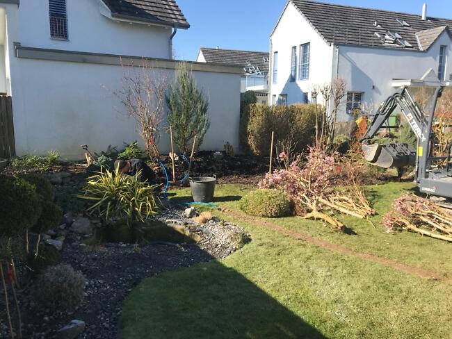 Ausgangslage Teich Ausgangslage Teich Privatgarten in Bassersdorf