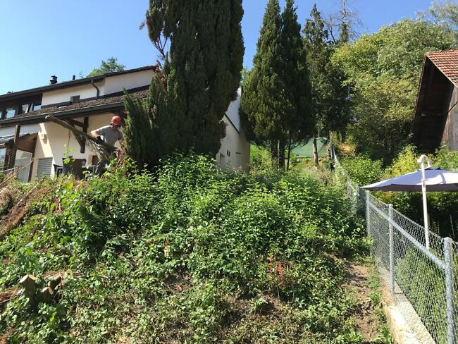 Ausgangslage Privatgarten in Glattfelden