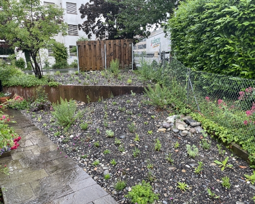 Privatgarten in Hoengg